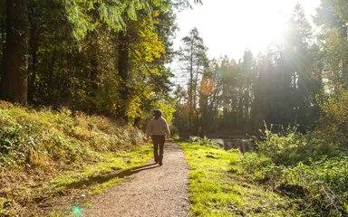 A woman walking along a lakeside path in a forest