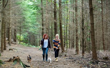 Two women with their dogs walking through a conifer forest