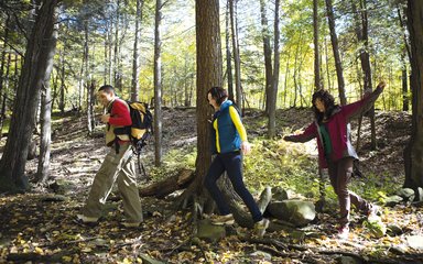 Group of three people walking past a tree