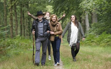 group of people walking along a forest clearing track