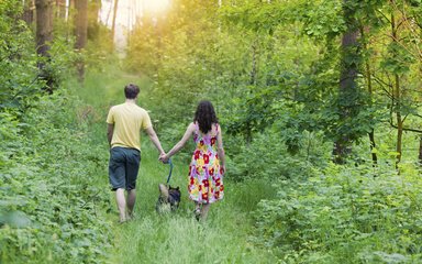 Couple with dog walking away through a forest clearing