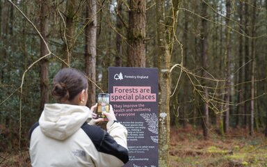 A woman taking a photo of a sign in a forest.
