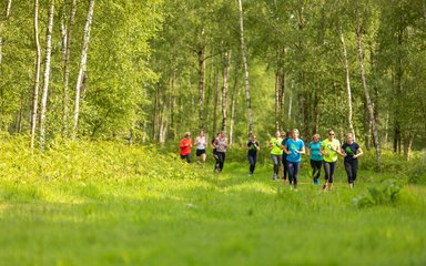 Bedgebury National Pinetum and Forest Runners group spring