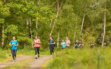 Running in the forest