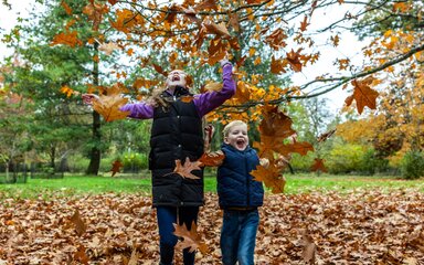 A young girl and boy happily throwing piles of autumn leaves in the air.