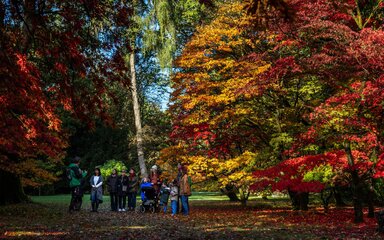 A group of adults and children listen to a guided walk surrounded by autumn colour.