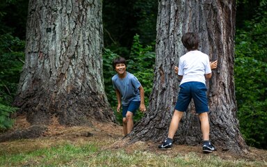 Two young boys play catch around a textured tree trunk.