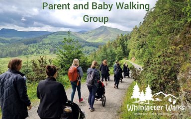 A group of people walking down a forest road pushing prams