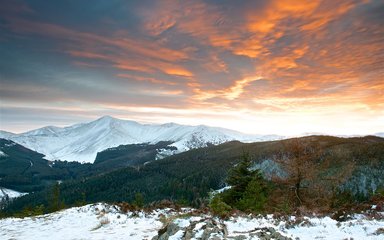 Forest Landscape at Whinlatter