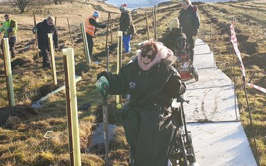 woman in wheelchair planting a tree