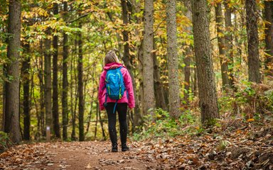 A walker walking through the forest in the autumn. The walker is looking up at the trees around them.