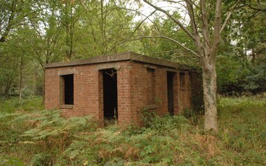 A small red-brick structure in the trees.