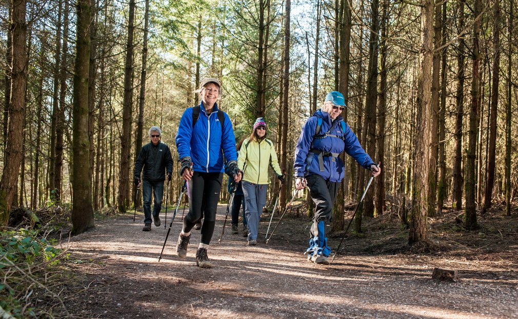 People enjoying Nordic Walking in the forest