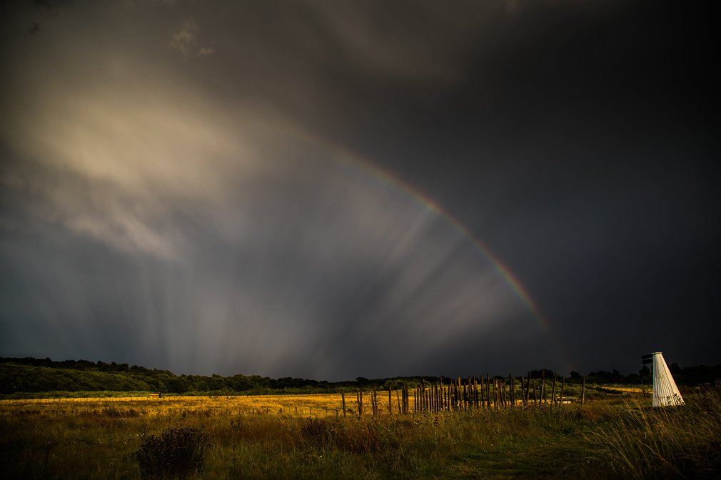 Jeskyns Community Woodland with a rainbow over the fields