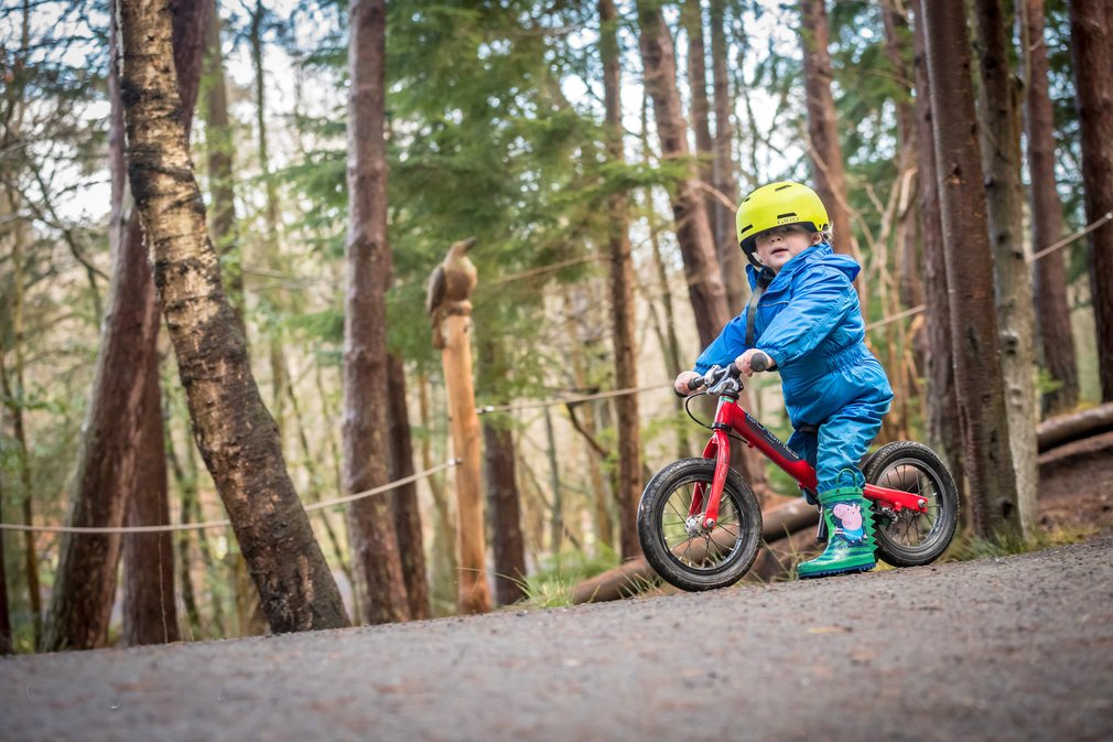 Child on balance bike in Hamsterley Forest