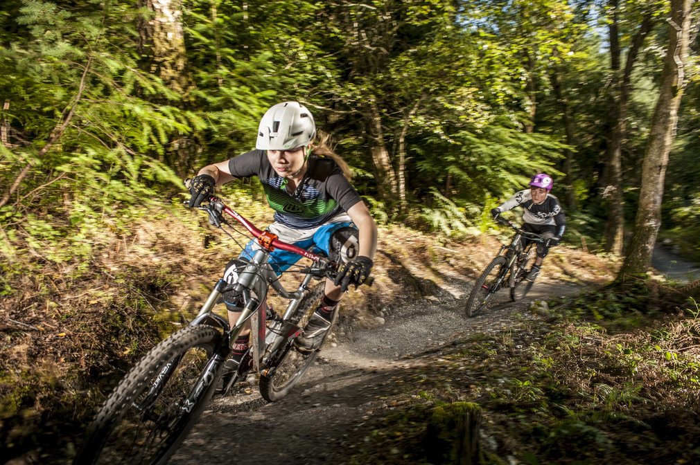 Mountain bike trail Haldon