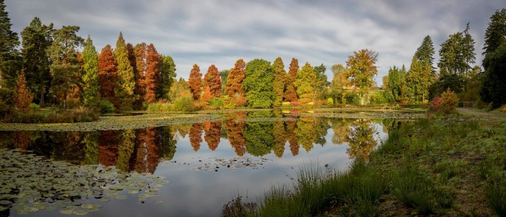 Bedgebury lake autumn