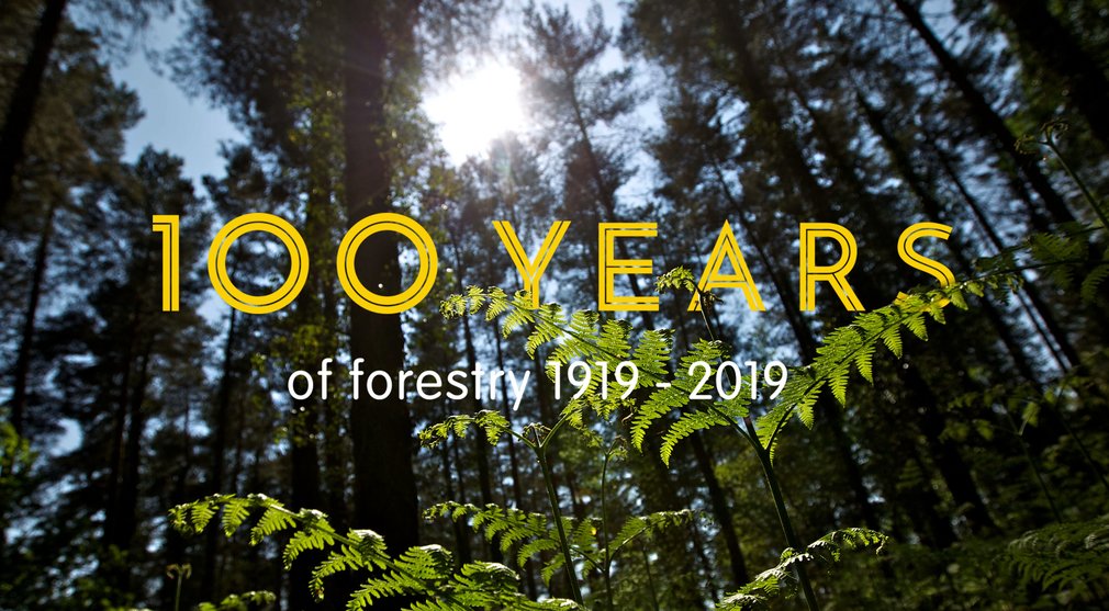 100 years of forestry 1919 - 2019