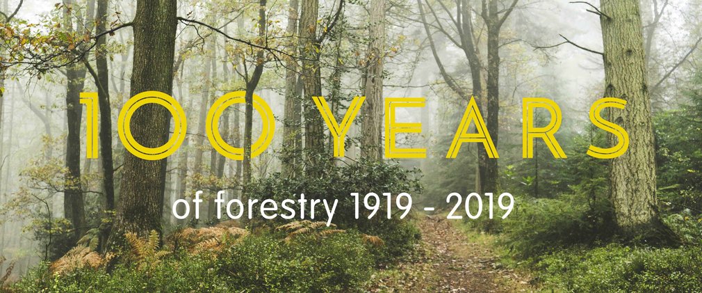 100 years of forestry 1919-2019