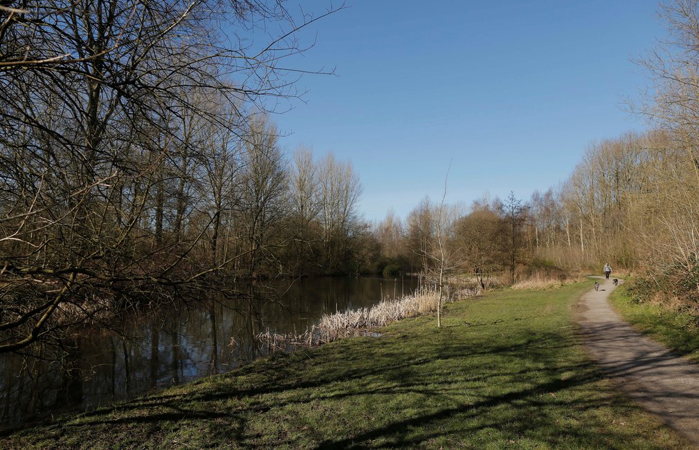 Lakeside path at Drinkwater Path