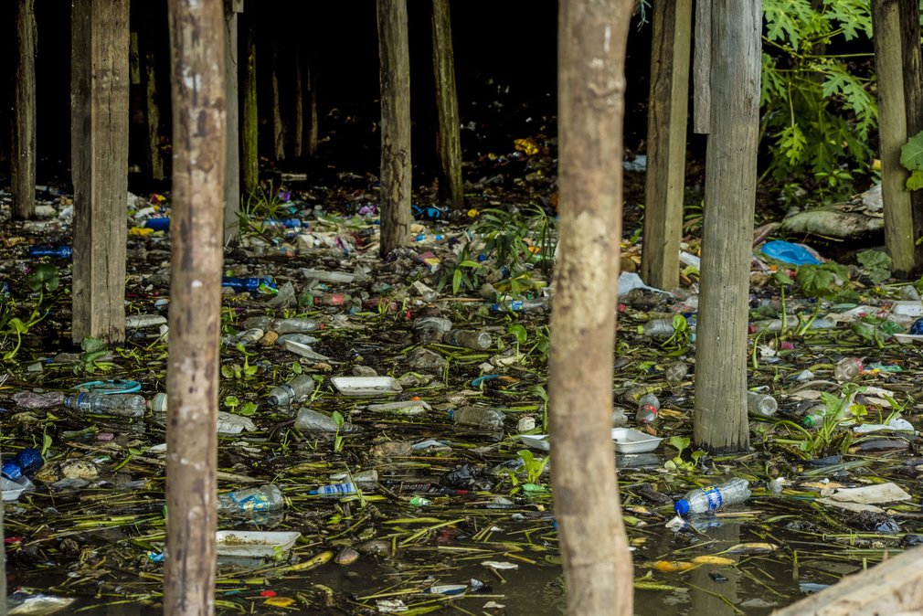 Plastic bottles floating among trees