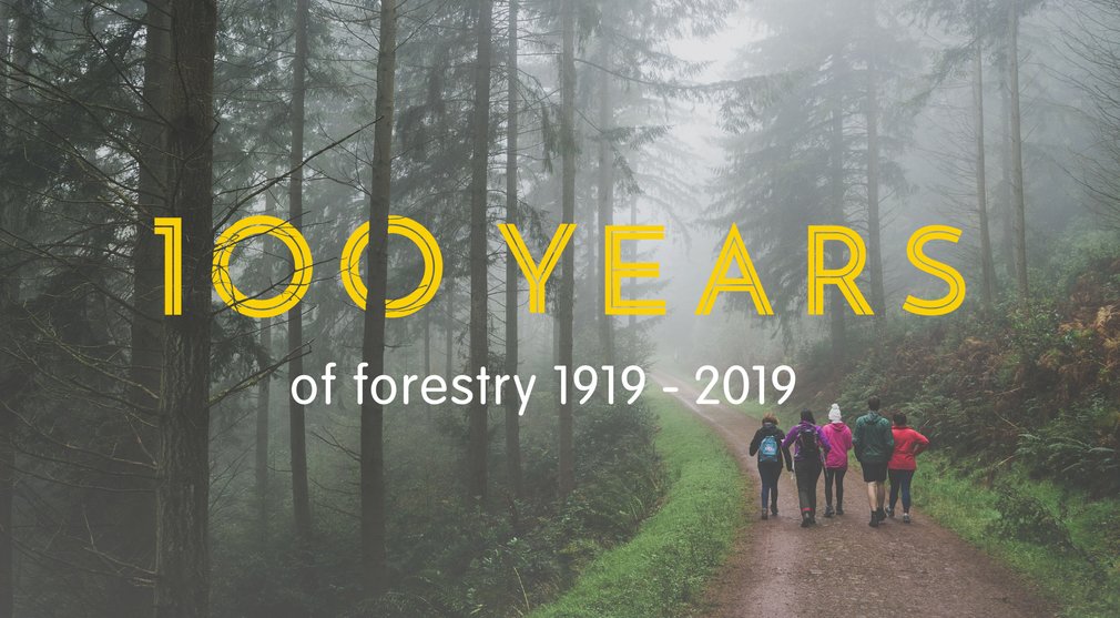 100 years of forestry 1919 - 2019