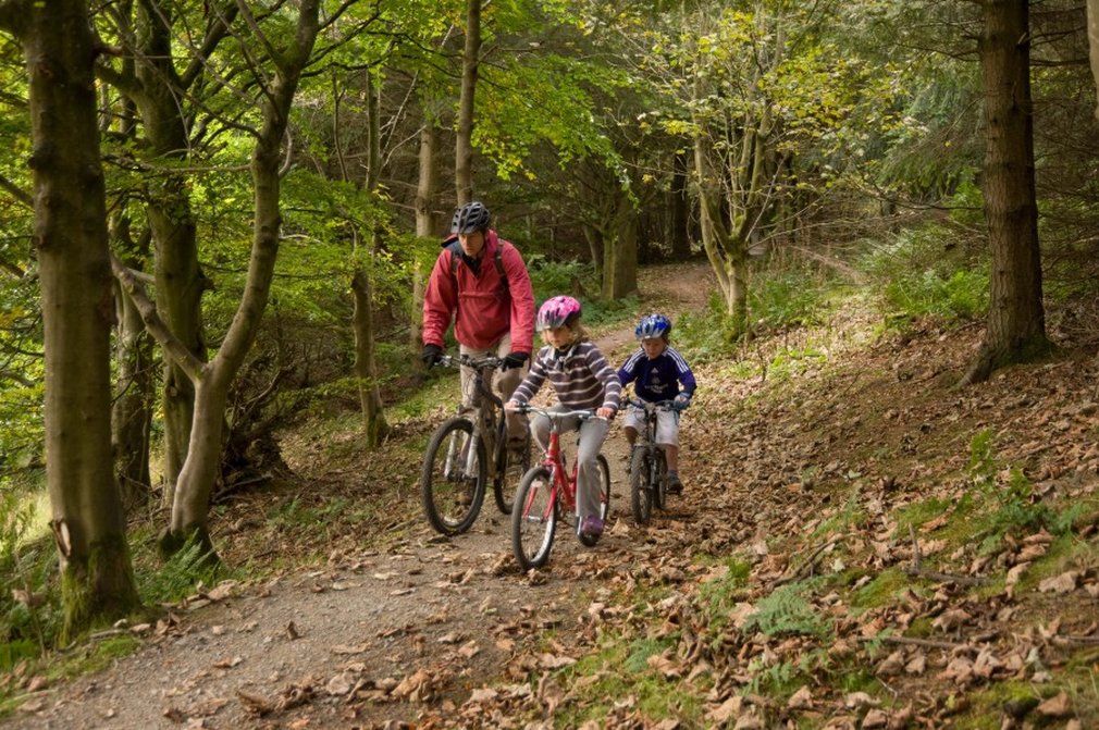 Haldon family bikes