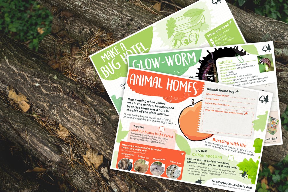 Roald Dahl Activity Sheets