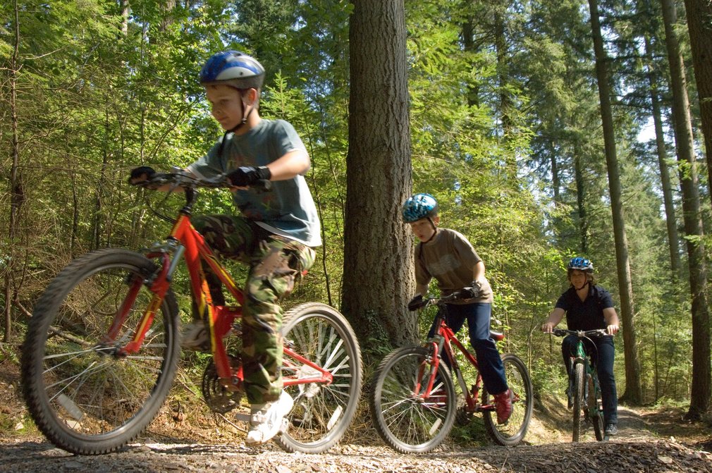 family cycling through the forest