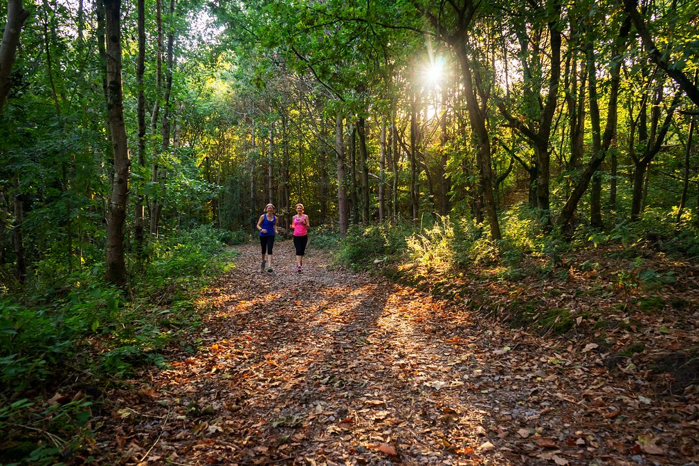 Running in the forest