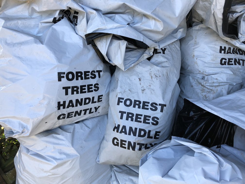 Bags of tree saplings