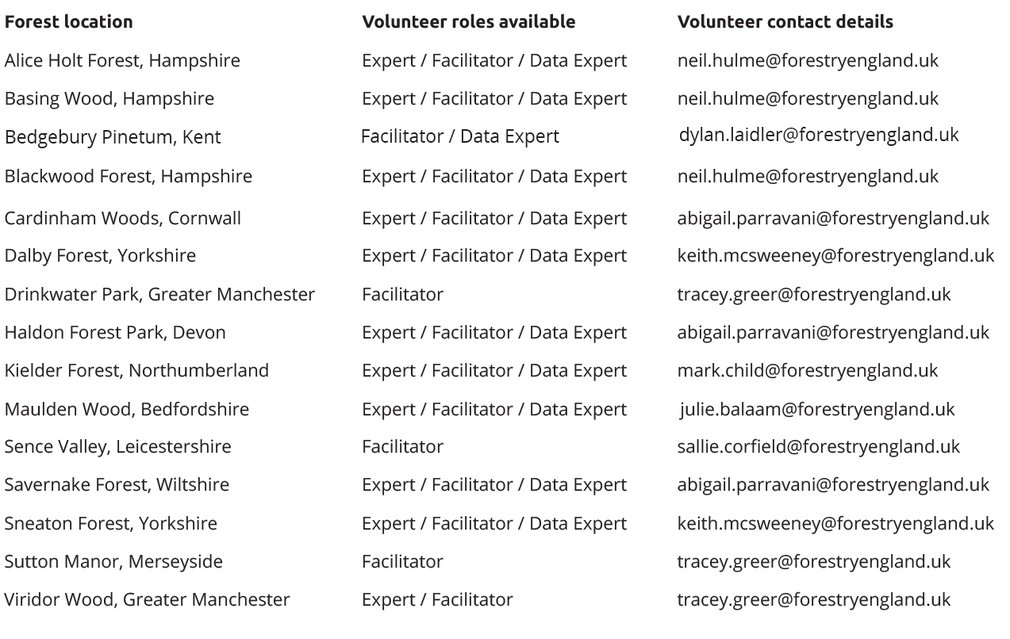 Volunteer opportunities