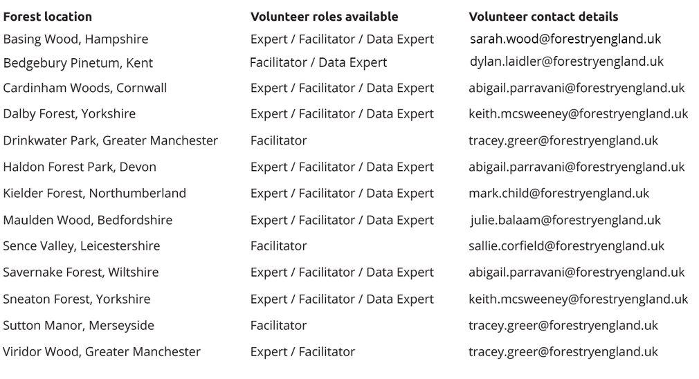 Big Forest Find volunteers