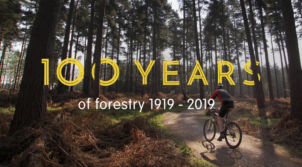100 years of forestry 1919 - 2019