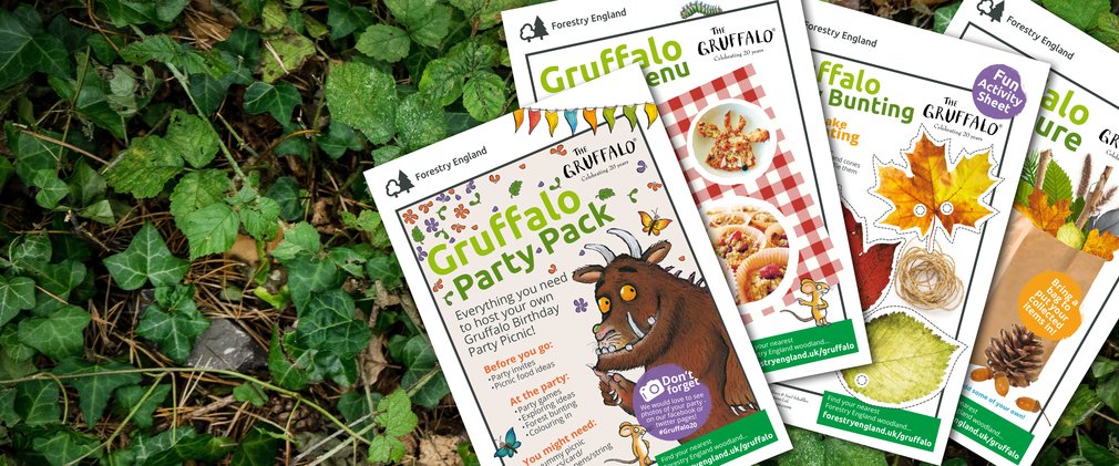 Gruffalo party pack