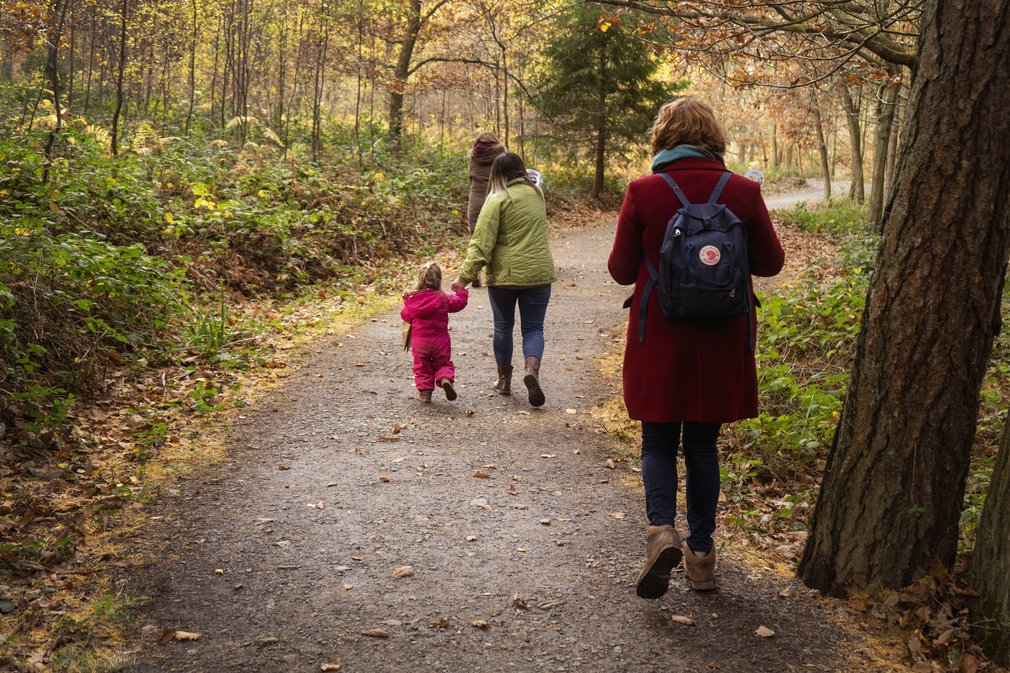 Wyre Forest walk generic