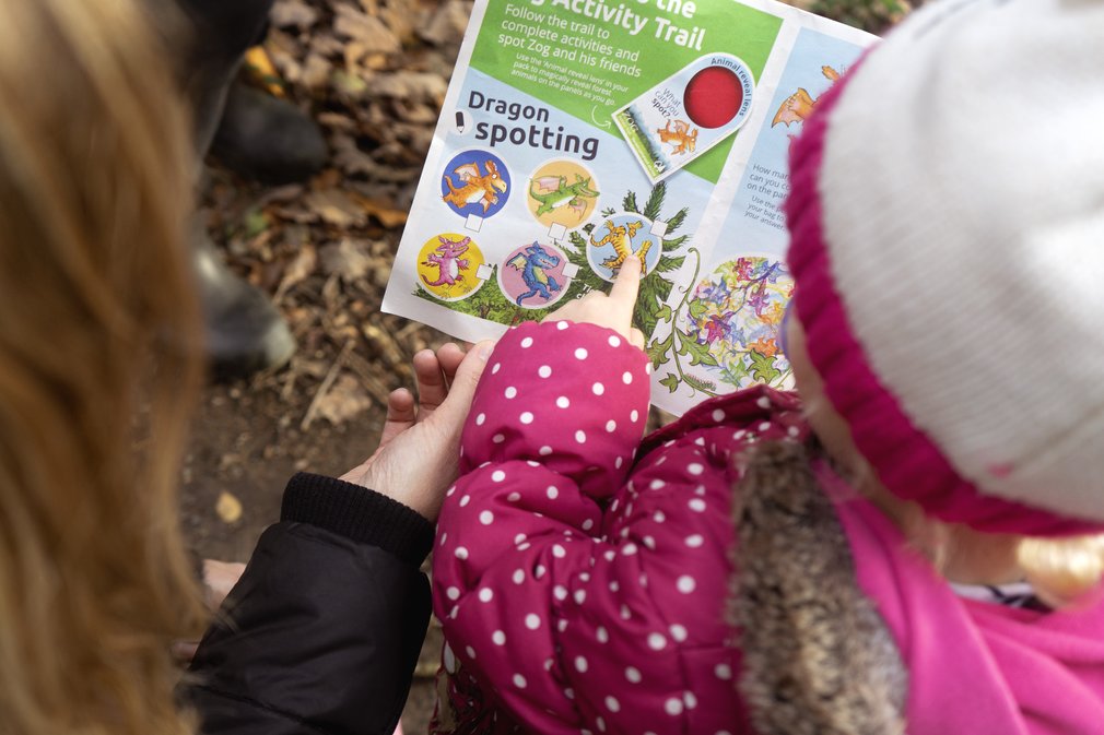 Activity Sheets Zog