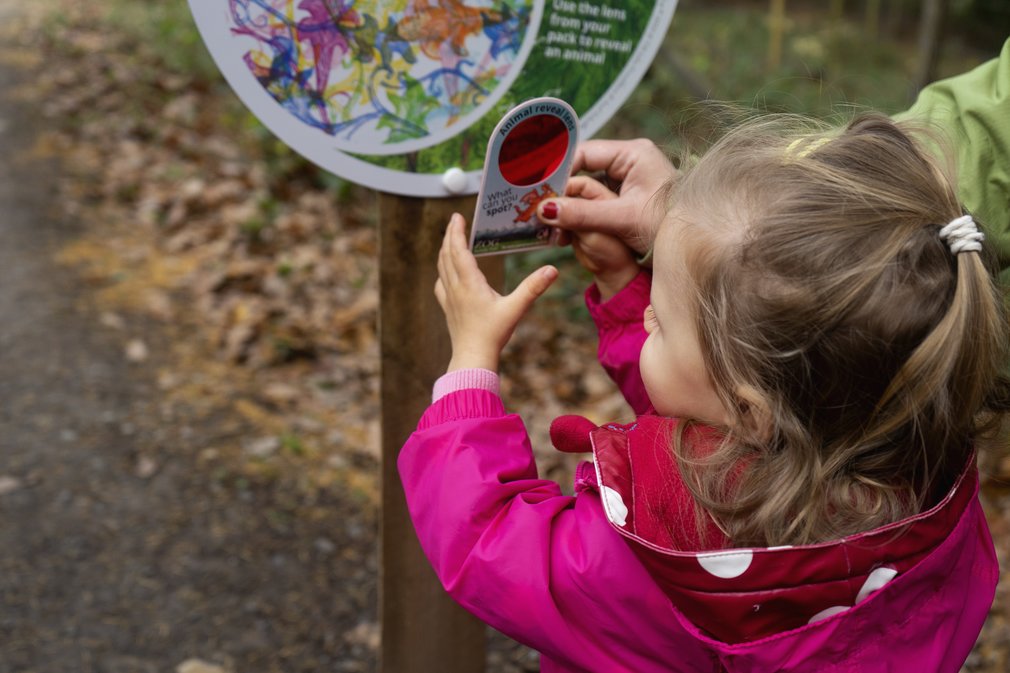 Zog Trail Reveal Panel
