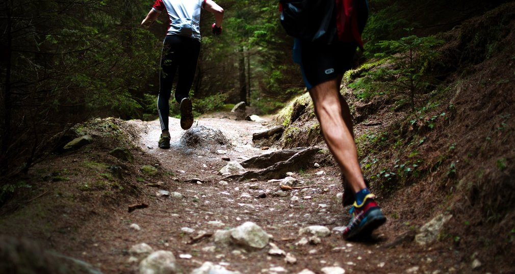 Trail runners in the forest