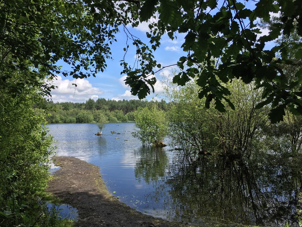 Blakemere lake with leaves from trees around the edge of the picture