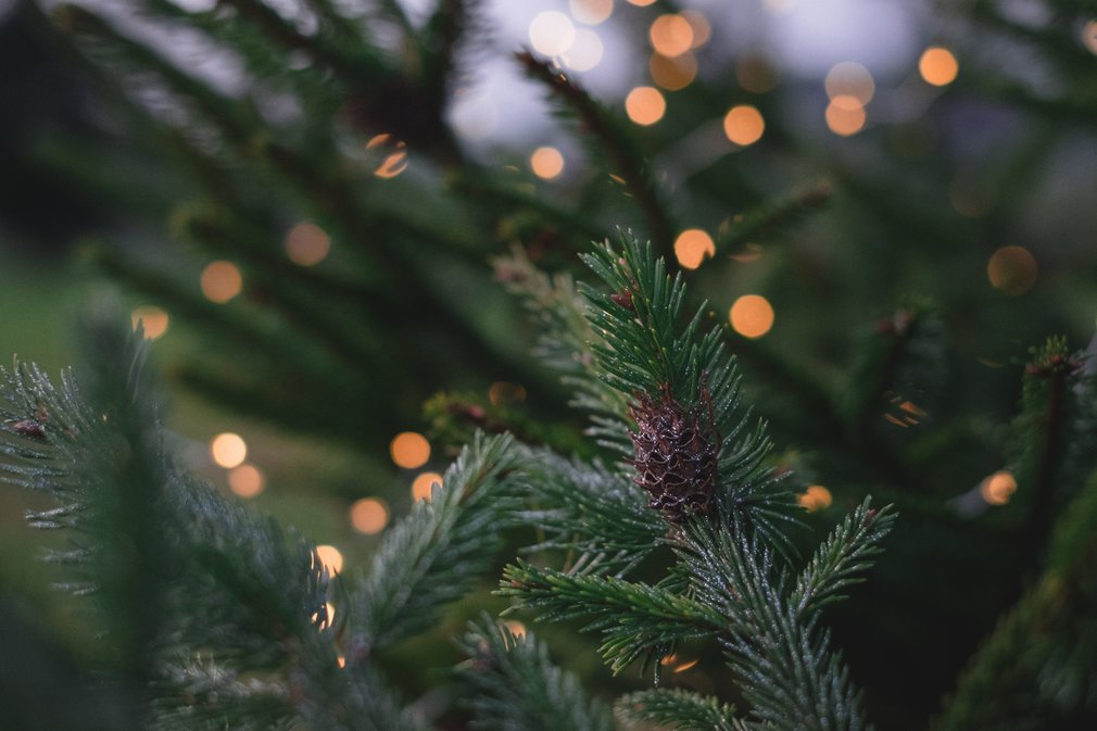 Christmas Tree at Home