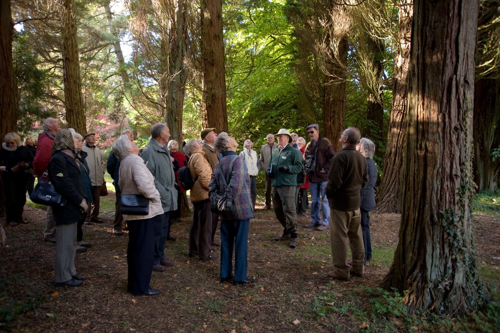 Group in forest looking at trees