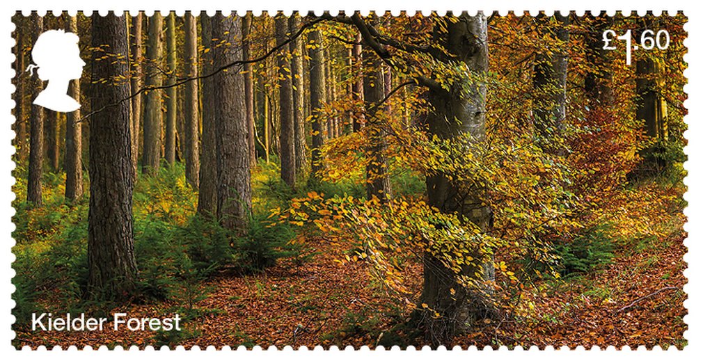 Kielder Forest stamp