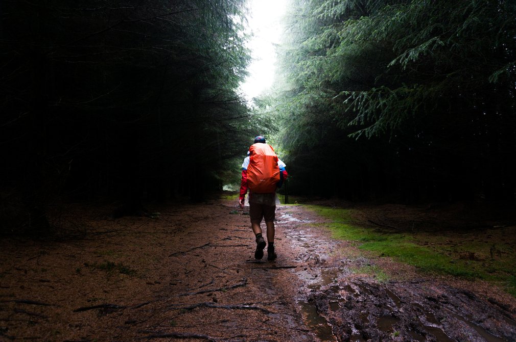 Man walking away down a forest path