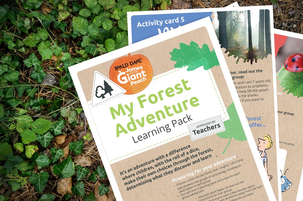 Roald Dahl My Forest Adventure Teachers Pack