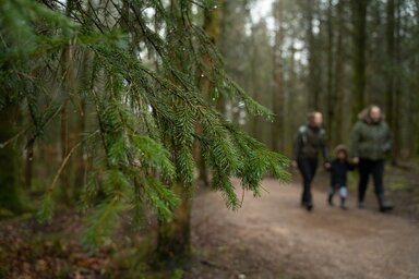 Two adults and a child walking on a forest path.