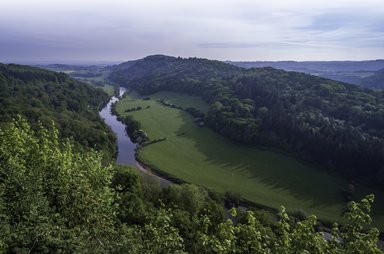 Sunny vista of river running through forest