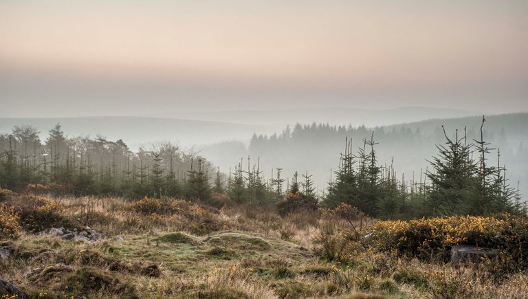 View across Dartmoor