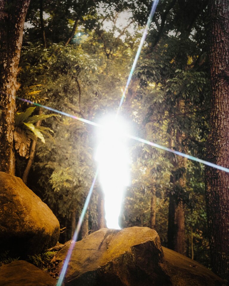 A bright, white flash of light among trees.