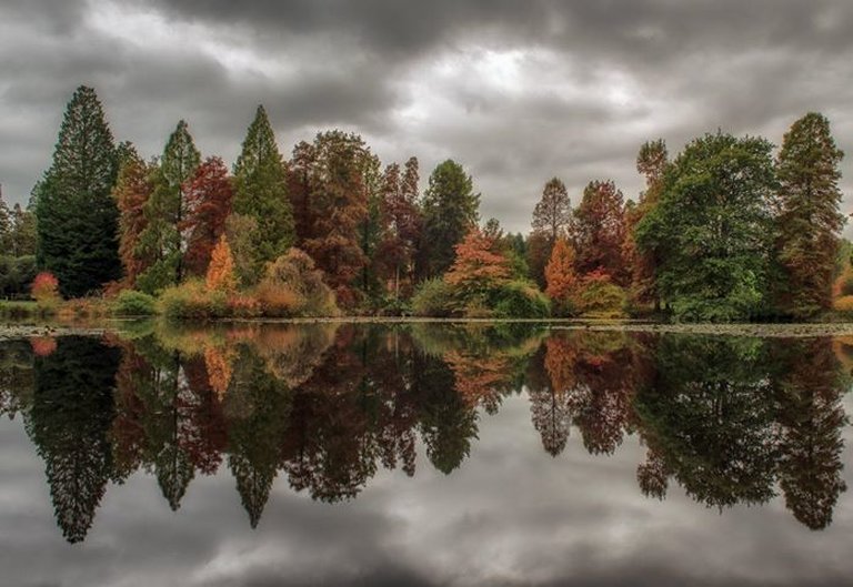 Bedgebury National Pinetum Marshal's Lake autumn dark skies